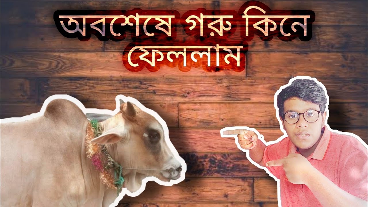অবশেষে গরু কিনে ফেললাম ||Qurbani Vlog ||2021||Shuvo Ali...