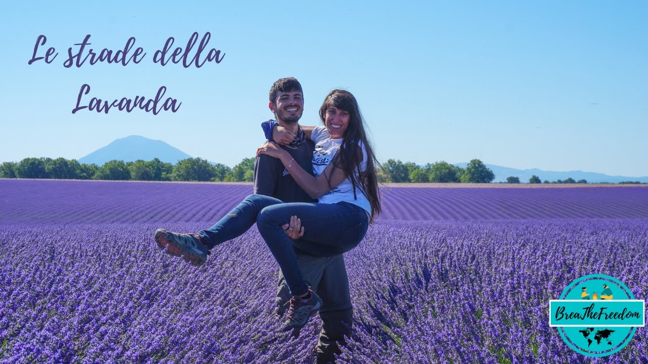 Provenza in moto, gole del Verdon e fioritura lavanda