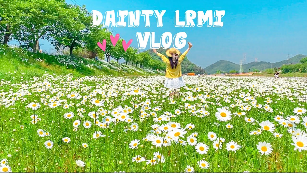 Eng | 여행 브이로그💜| 꽃과함께하는💐힐링여행 | 데이지꽃🌼인생사진 | 🎡동심으로돌아간 삽교호놀이동산🎠 | 서산맛집바다뷰포차 | 세종수목원 | 스콘맛집🧈|