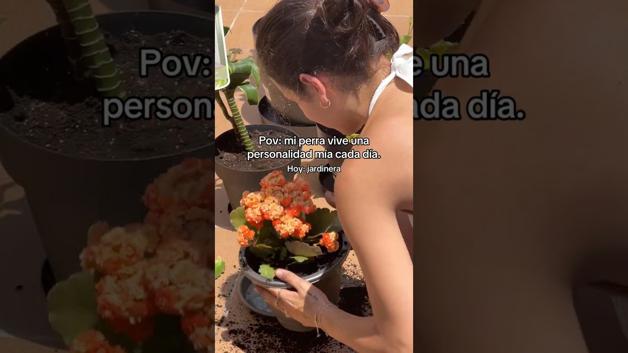 Luna es un s&iacute; a todo constante. Aunque no entienda nada😂🌱#fyp #Viral #plants #videoviral #mascotas