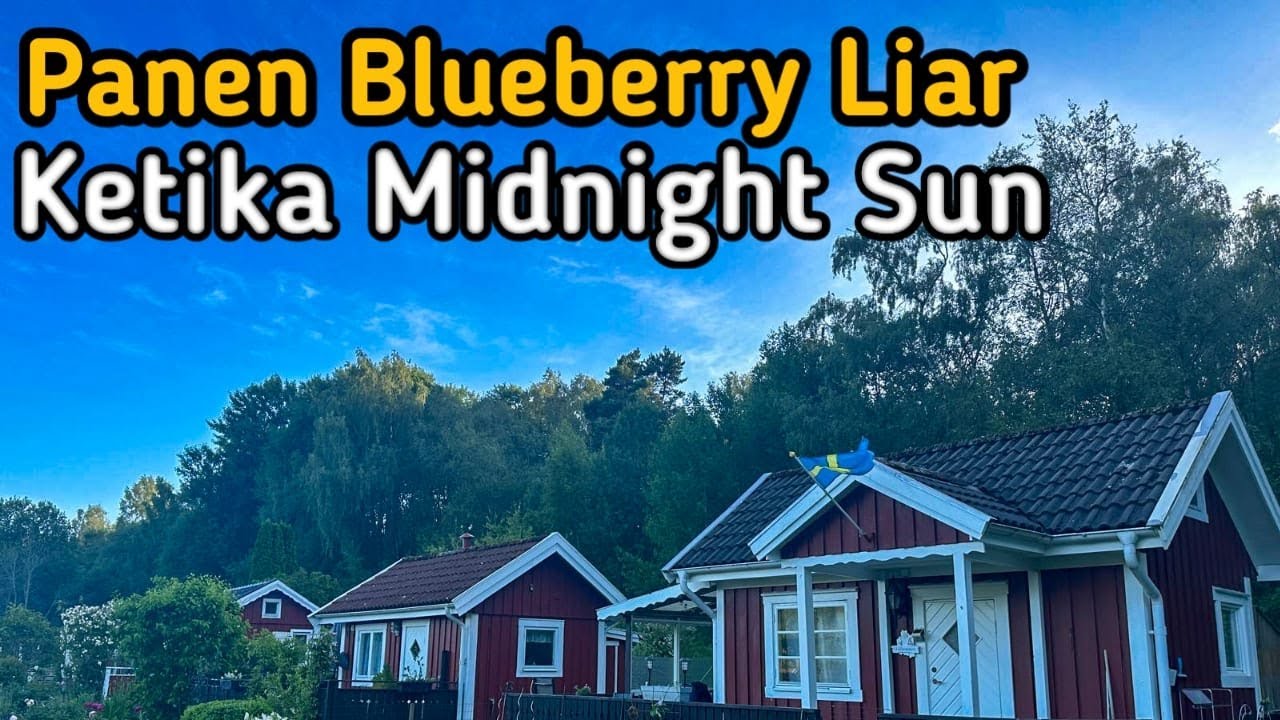 Akhirnya Panen Blueberry Liar di Negara Tanpa Malam Ketika Fenomena Midnight Sun #vlog #swedia #buah