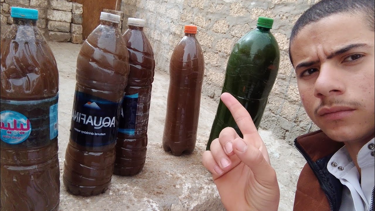 احسن سماد عضوي انت ممكن تستخدمه للنباتات او الاشجار#الزراعة بطرق حديثة 