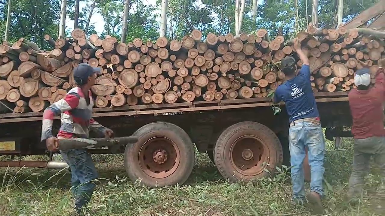 Galerinha do mau e bora carrega a lenha logo que hoje é sexta feira 