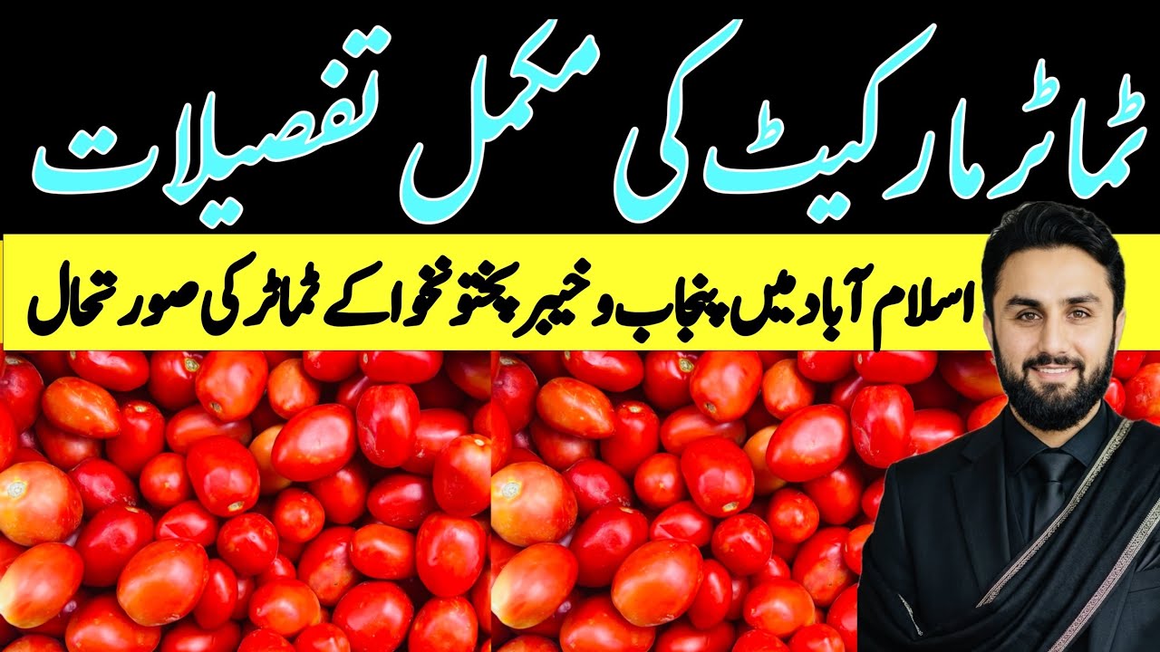 Tomato Market Today Update | Islamabad, Punjab & KPK Tomato Supply & Prices | 24 June 2026