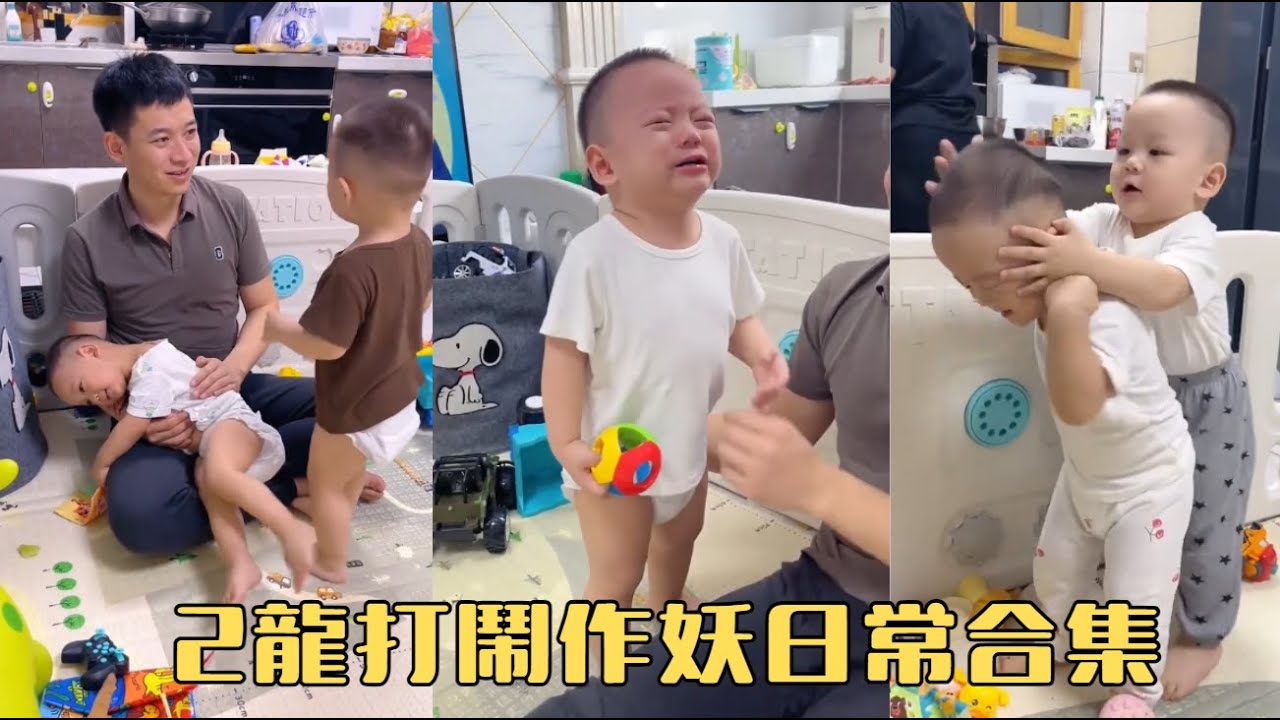 2龍打鬧作妖日常合集#兩個小龍子 #雙胎寶寶的日常