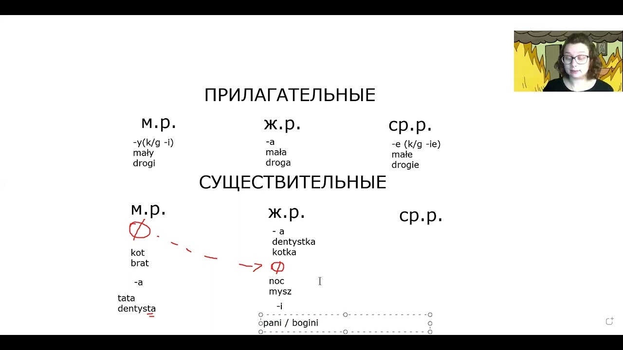 Польский язык: прилагательные и существительные