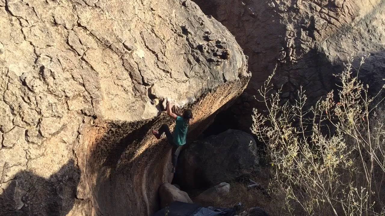 Pe&ntilde;oles 2015 2016