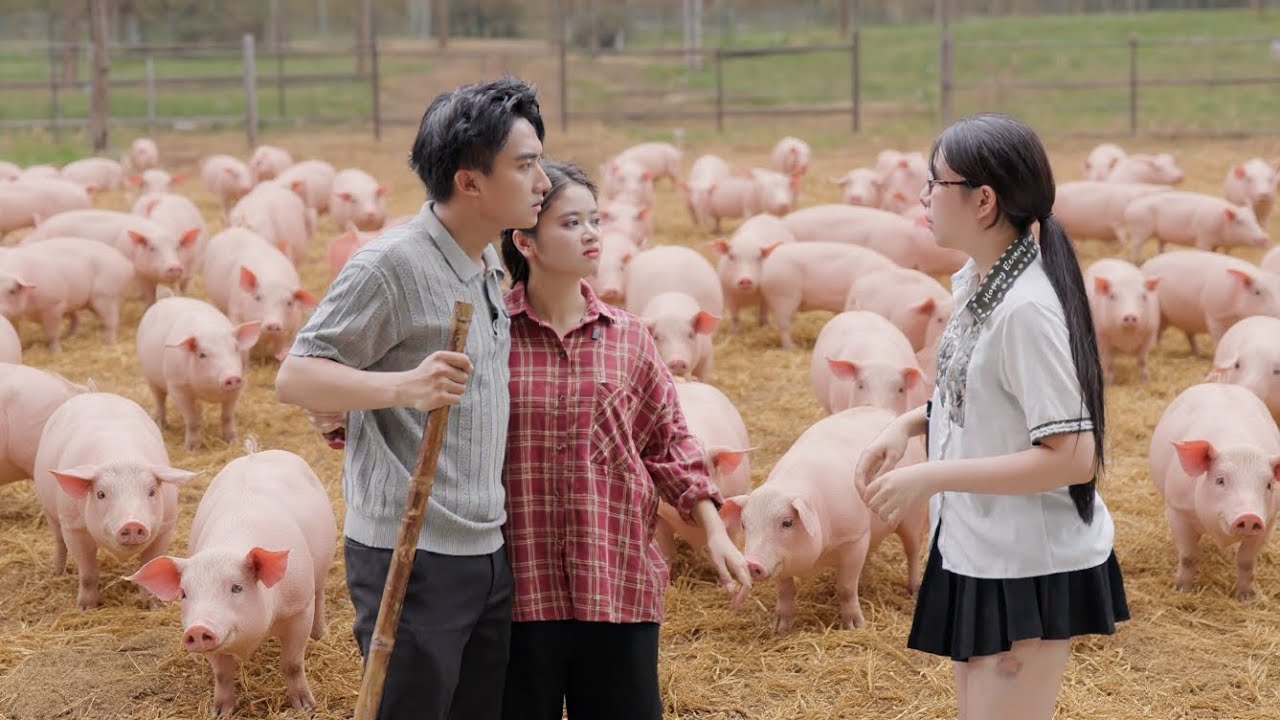 Chủ Tịch Cãi Lời Mẹ Quyết Về Quê Cưới Cô Gái Chăn Lợn Bị Gia Đình Ruồng Bỏ Và Cái Kết - Tập 1350