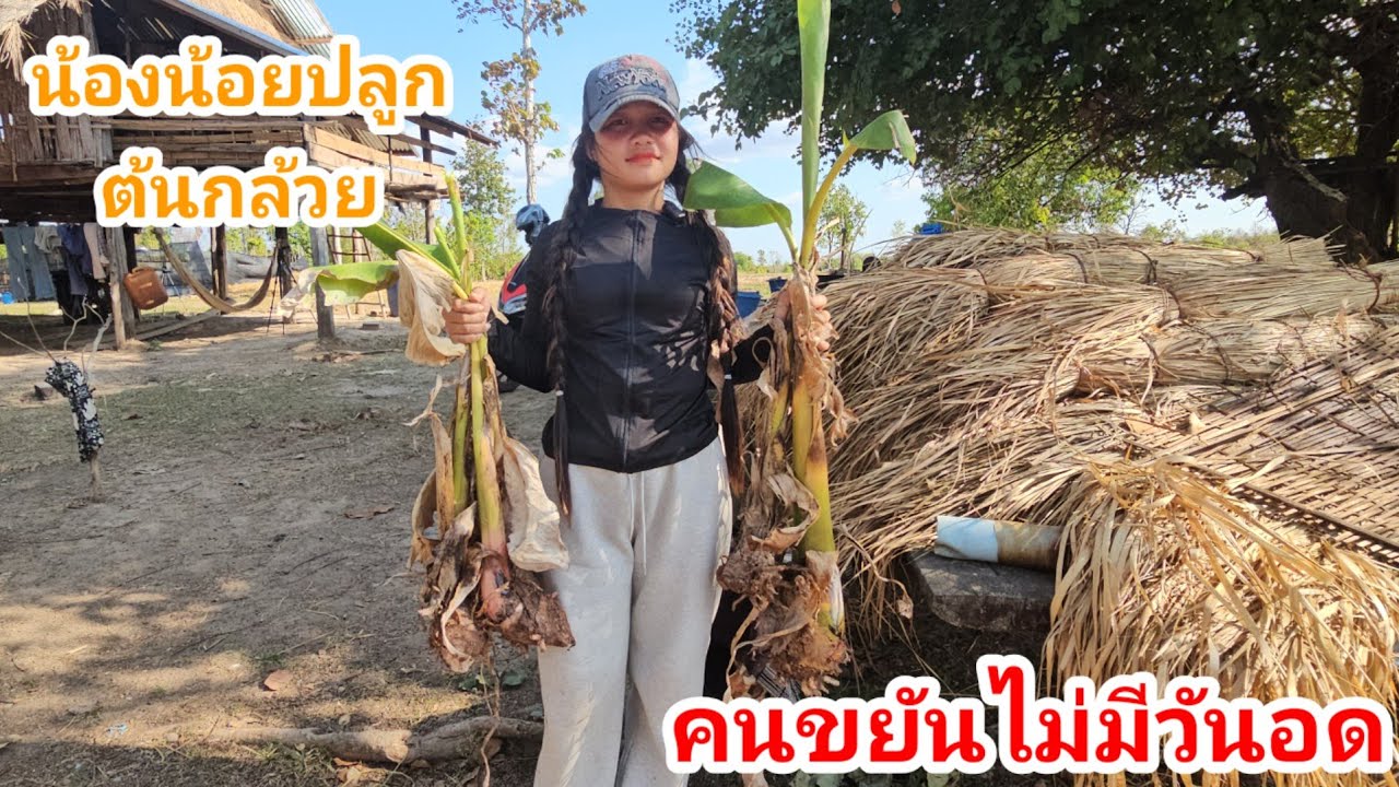 ระหว่างรอช่างมาทำบ้านต่อน้องน้อยปลูกต้นกล้วย🥰✌️ 14 มีนาคม ค.ศ. 2026