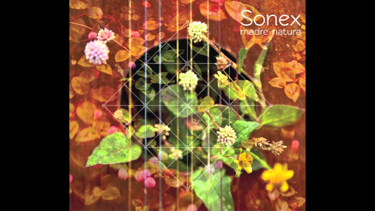 Sonex - La Guacamaya (6/13)