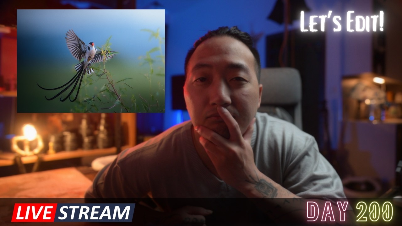 Day 200! Editing 2,000 Nikon ZR Photos from Tanzania + DaVinci Color Grading | Lightroom + Dehancer