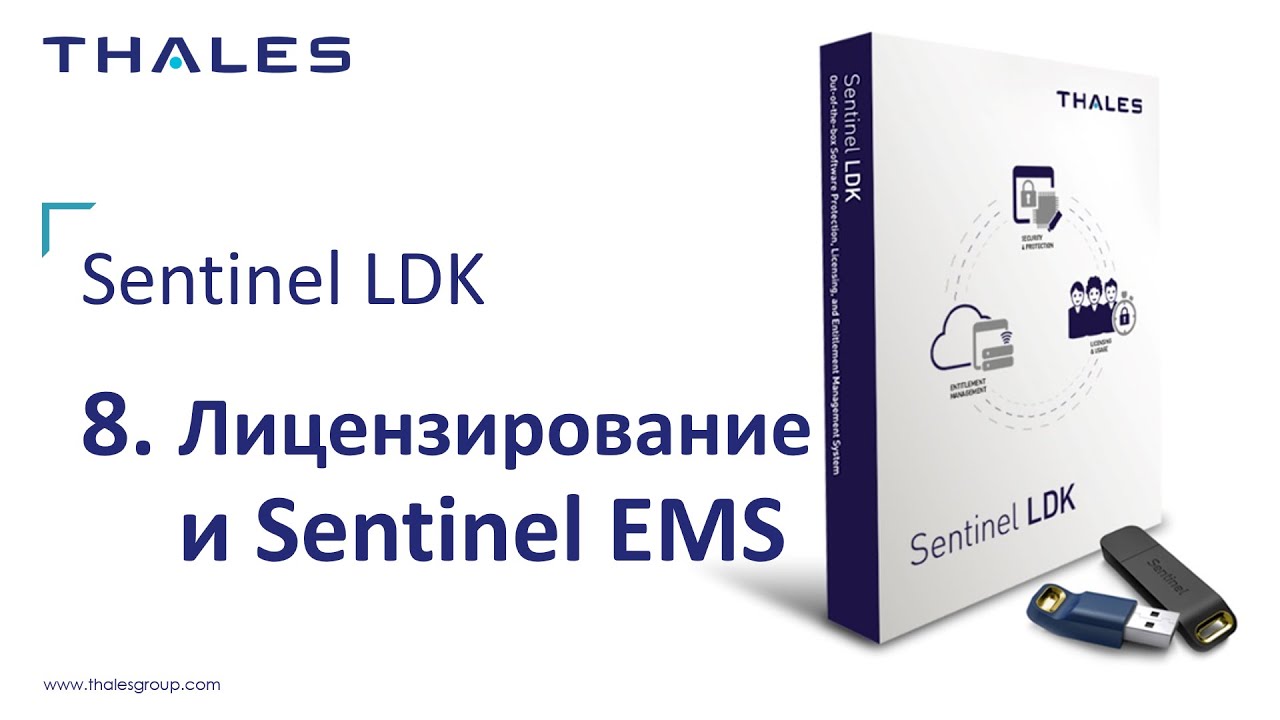 Руководство Sentinel LDK: 8. Лицензирование и Sentinel EMS
