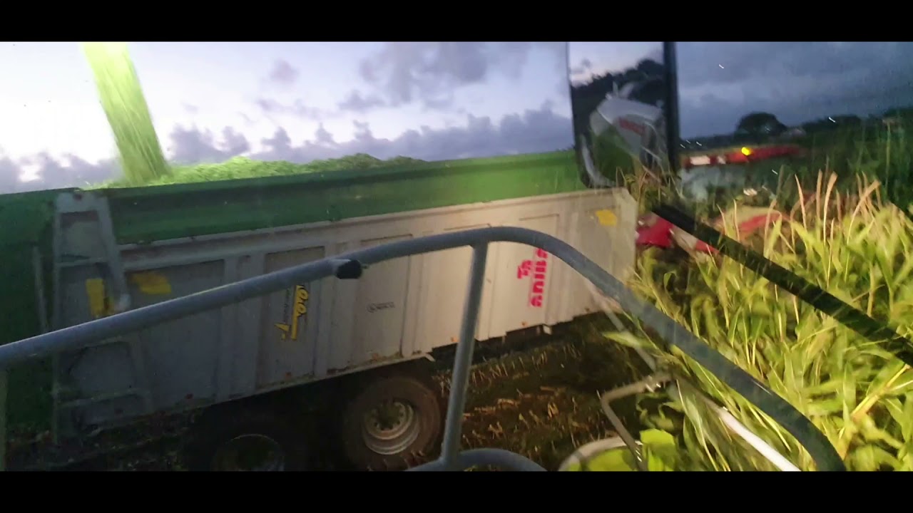 CLAAS JAGUAR 990 GERMIAR XALLAS SL