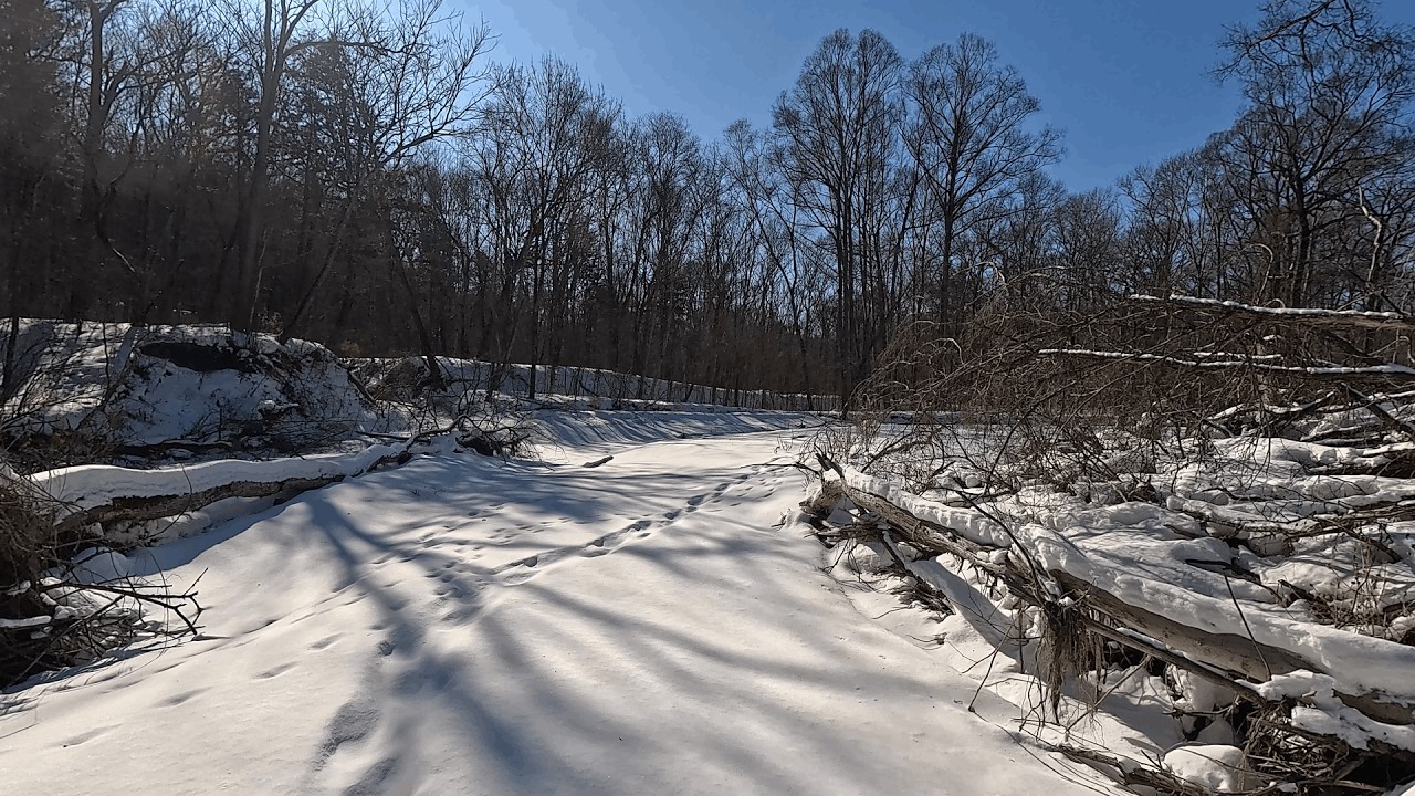 Проверка капканов на путиках.\\ Рысь ходит по моим следам.\\ Февраль.