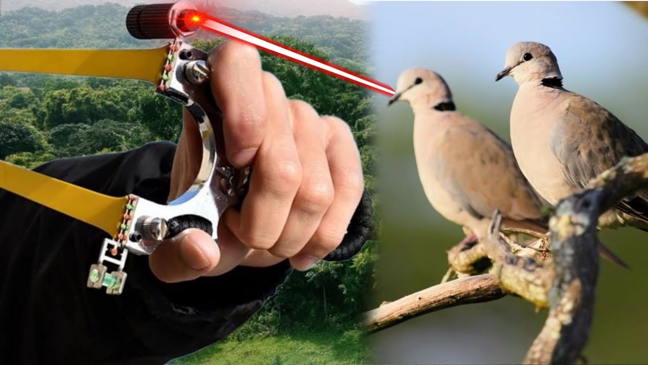 Modern Laser Slingshots For Birds Hunting | Hunting Equipments | Hunting Gears