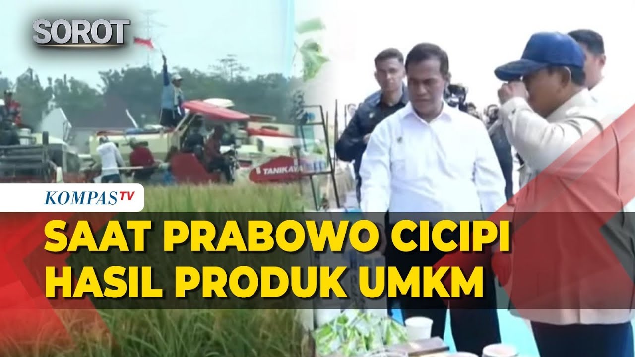 Presiden Prabowo Cicipi Produk UMKM hingga Tinjau Panen Raya Swasembada Pangan di Karawang