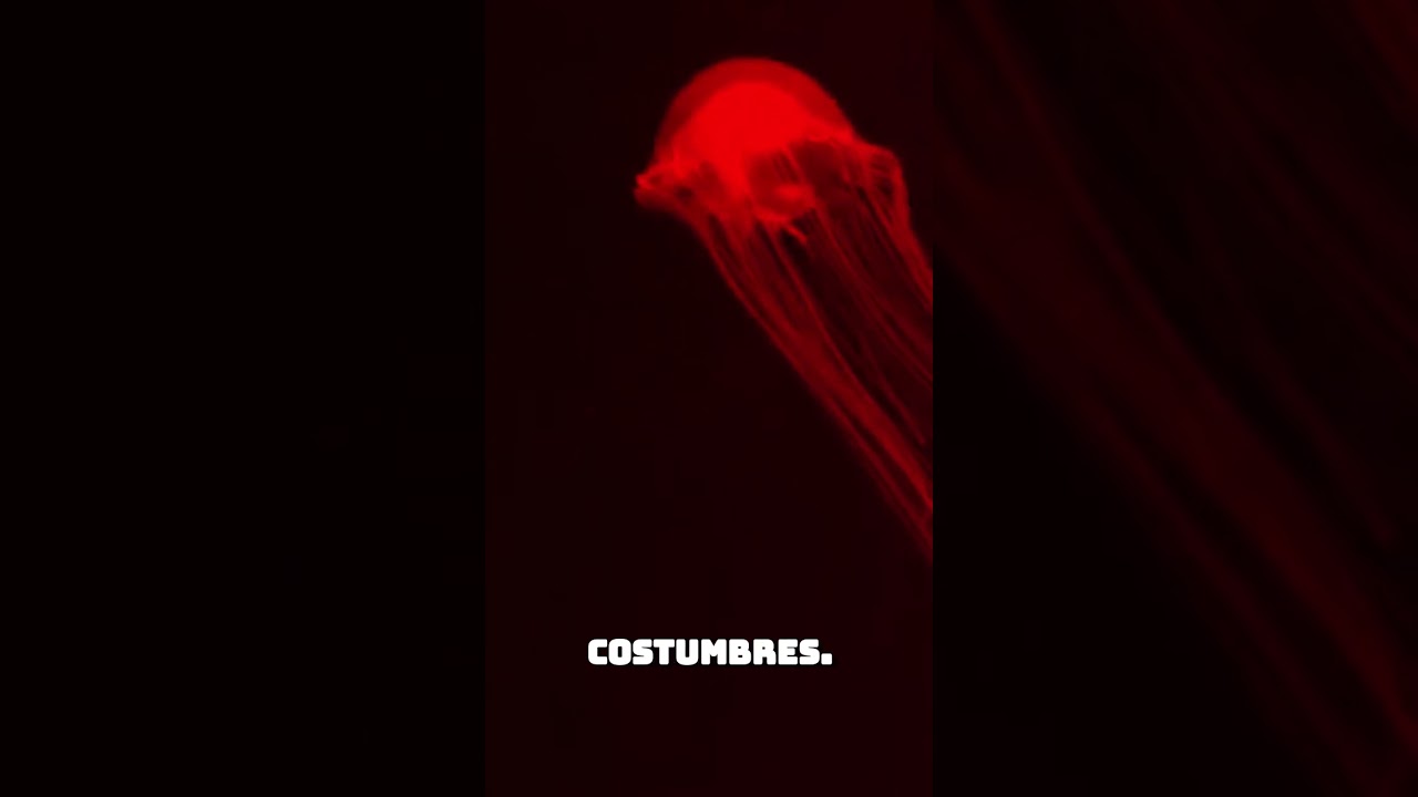 LOS PASOS SILENCIOSOS #audiolibro #audiorelato #terror #shorts  #miedo #leyendas