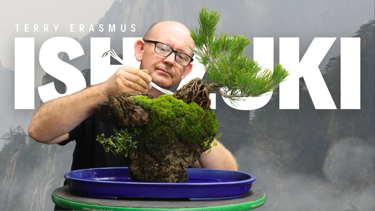 Achieve Breathtaking Ishizuki Bonsai with Pine and Firethorn