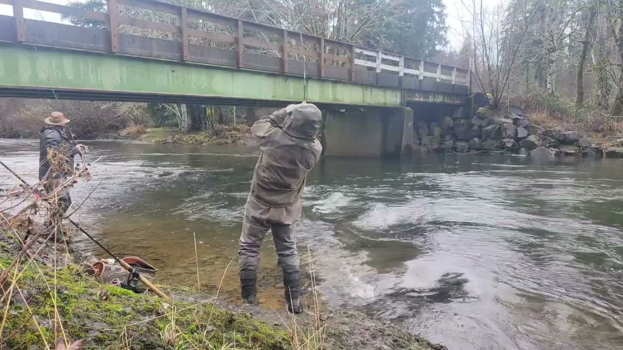 Oregon Coast Winter Steelhead