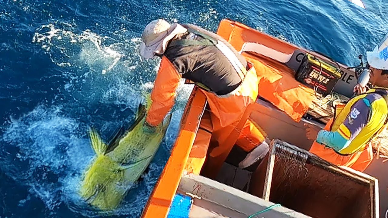 Increíbles acciones de PESCA con Anzuelo y Grabados en Alta Mar