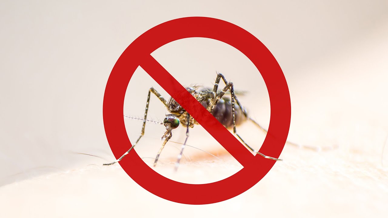 Does Garlic Repel Mosquitoes? A Doc Answers