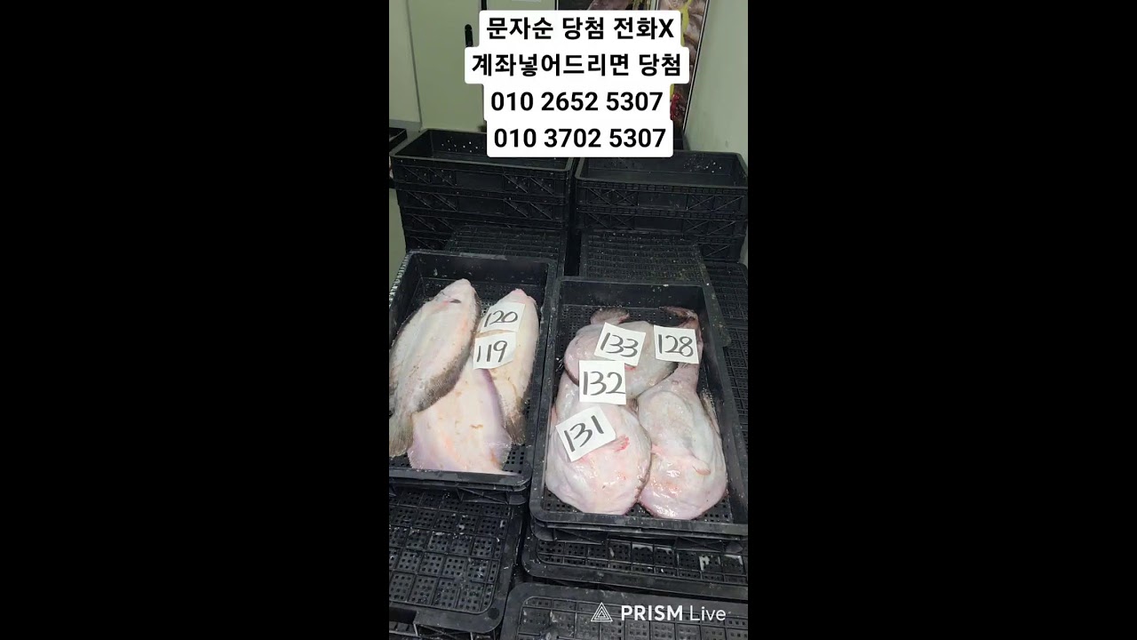 구가굴비 라이브 방송