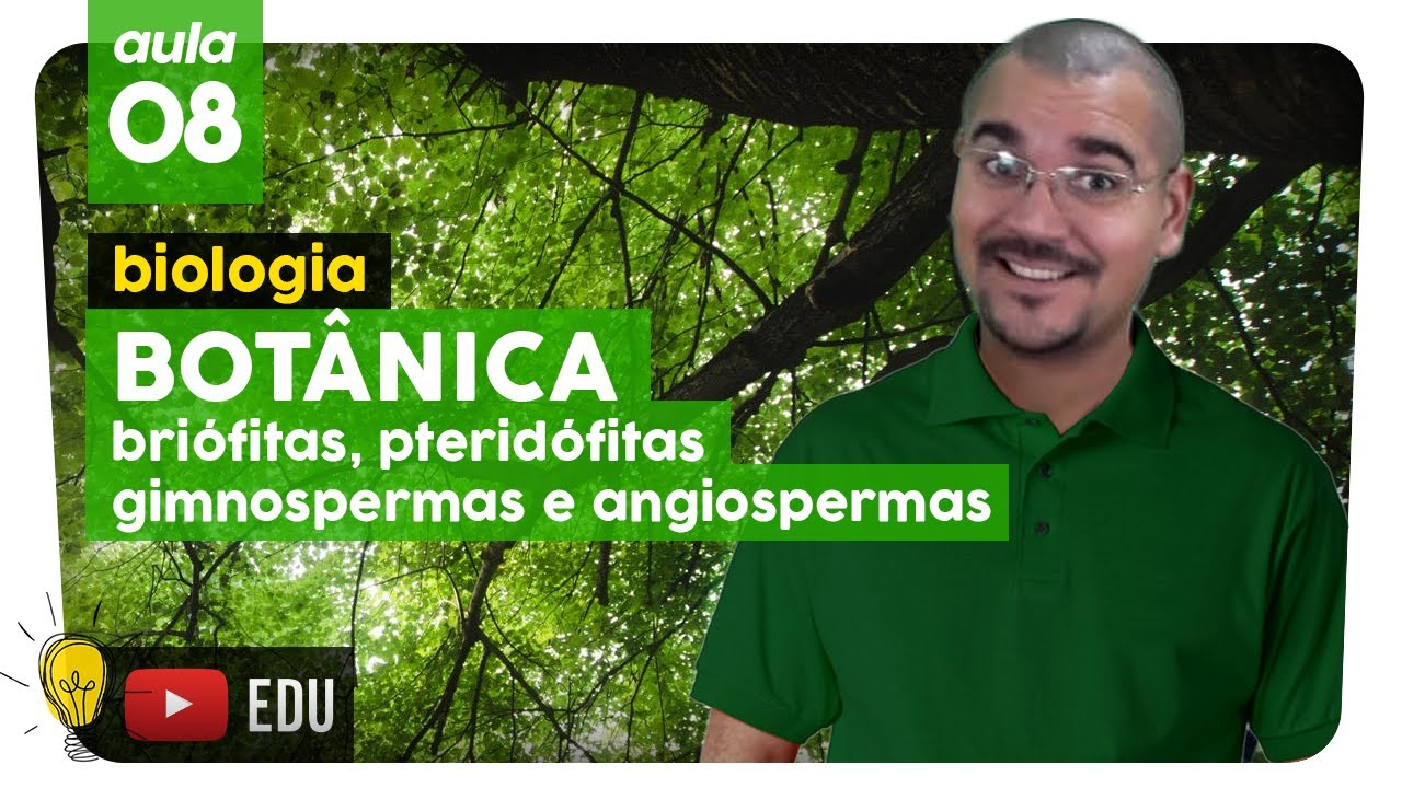 BRI&Oacute;FITAS, PTERID&Oacute;FITAS, GIMNOSPERMAS e ANGIOSPERMAS | Bot&acirc;nica | aula #8 | Extensivo Enem 2019