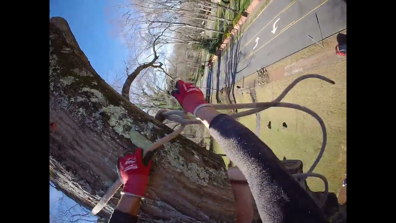 Setting the knot for big wood