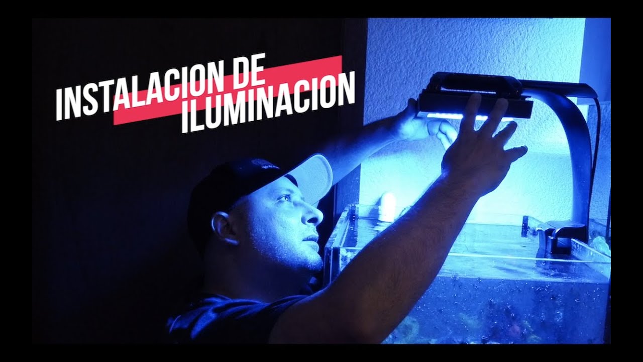 ACUARIO MINI LAGUNA CON NUEVA ILUMNACION||||||😎👌🏻