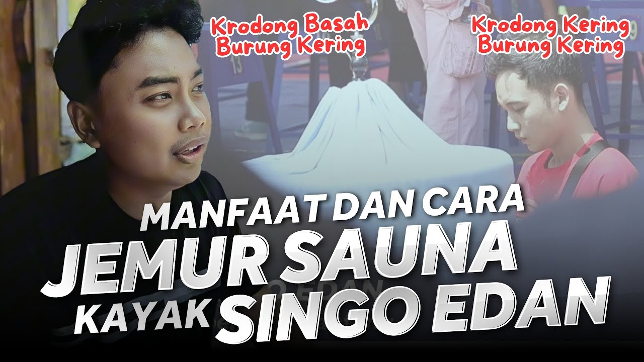 JEMUR SAUNA UNTUK MURAI ‼️ SINGO EDAN KERODONG KERING ‼️ INI KERODONG BASAH