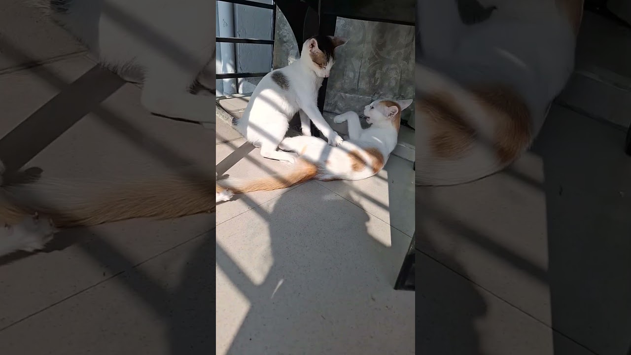 #আমি