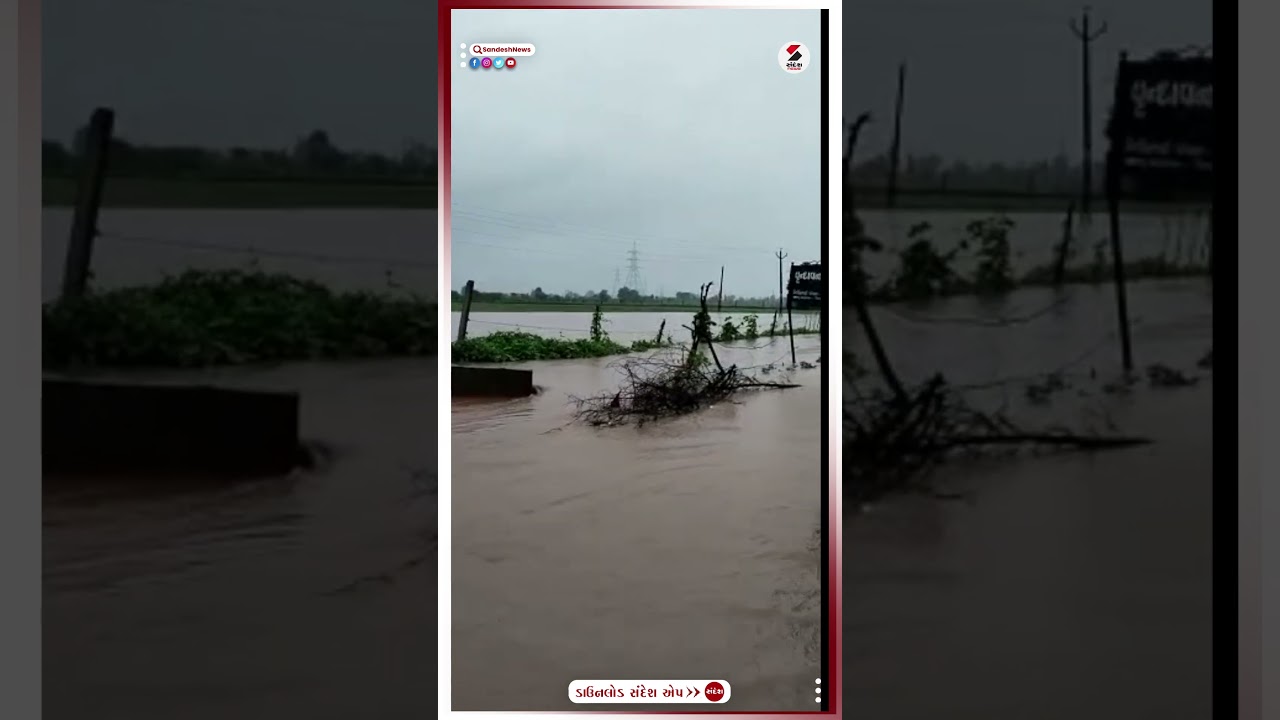 Junagadh News | જુનાગઢમાં પૂર નુકસાનીના સર્વેને લઈને વિવાદ | Flood | Monsoon | Heavy Rain