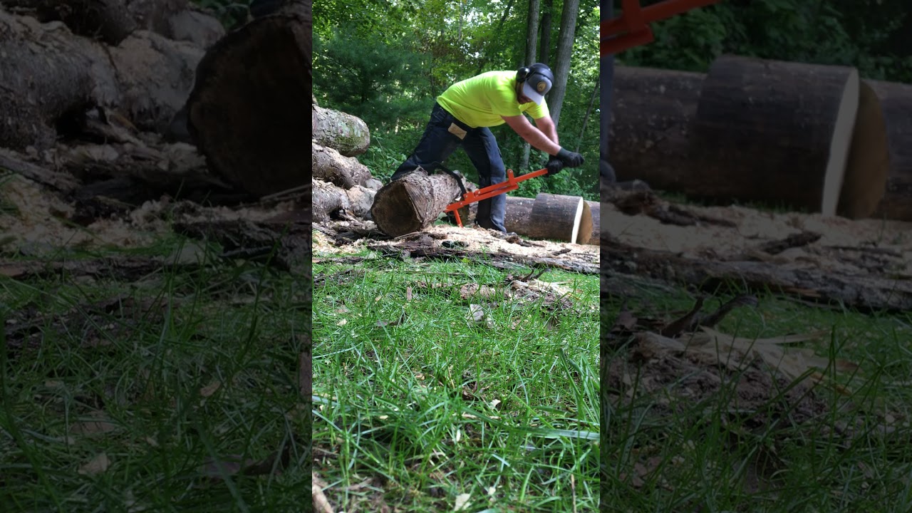 Stihl MS291 and the Log Ox