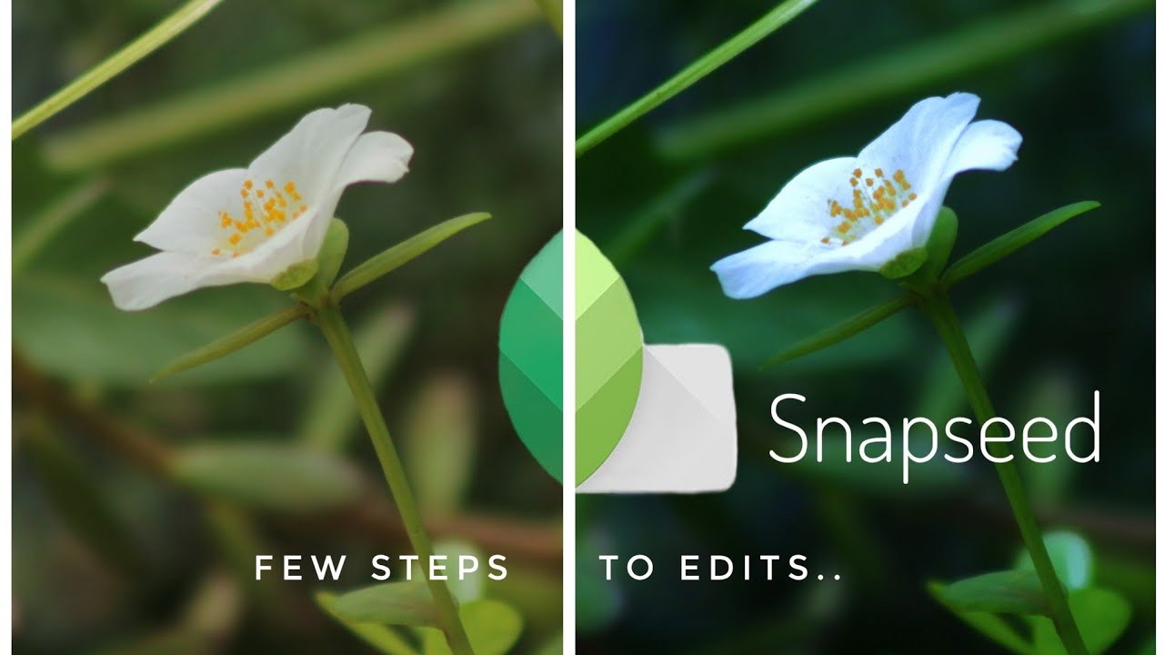 Snapseed Amazing Editing Tutorial | Malayalam