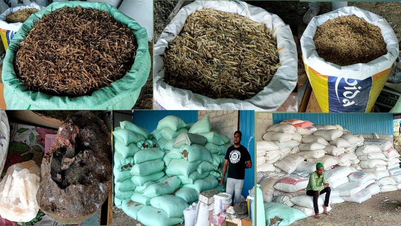 dry matter food goats cheap and best  Mujahid bhai +918919746226