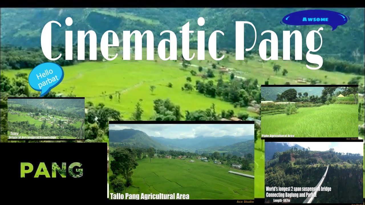 PANG || World longest bridge || Aerial view of pang || Cinematic pang