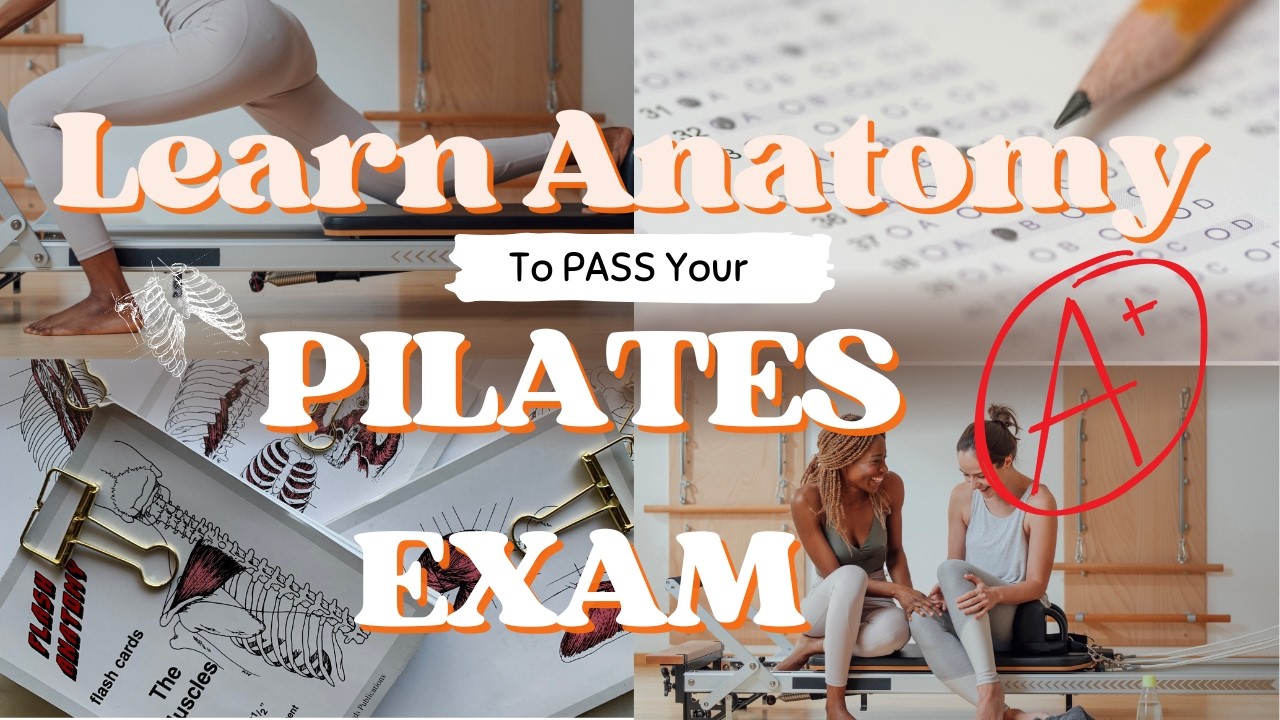 How to Study and  Learn Anatomy for Your Pilates Exam