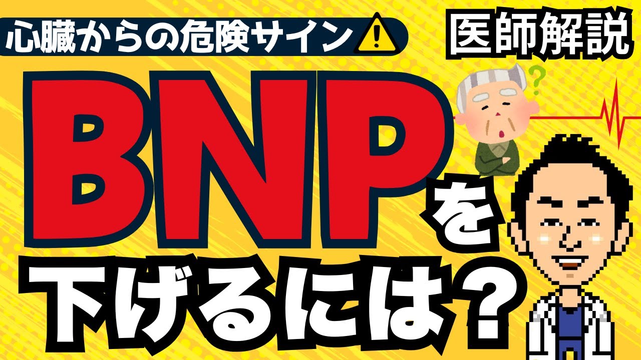 【専門医解説】BNPを下げるには？自分でもできる対策３選！BNPが高い状態やその改善法をたとえを使いながらわかりやすく解説