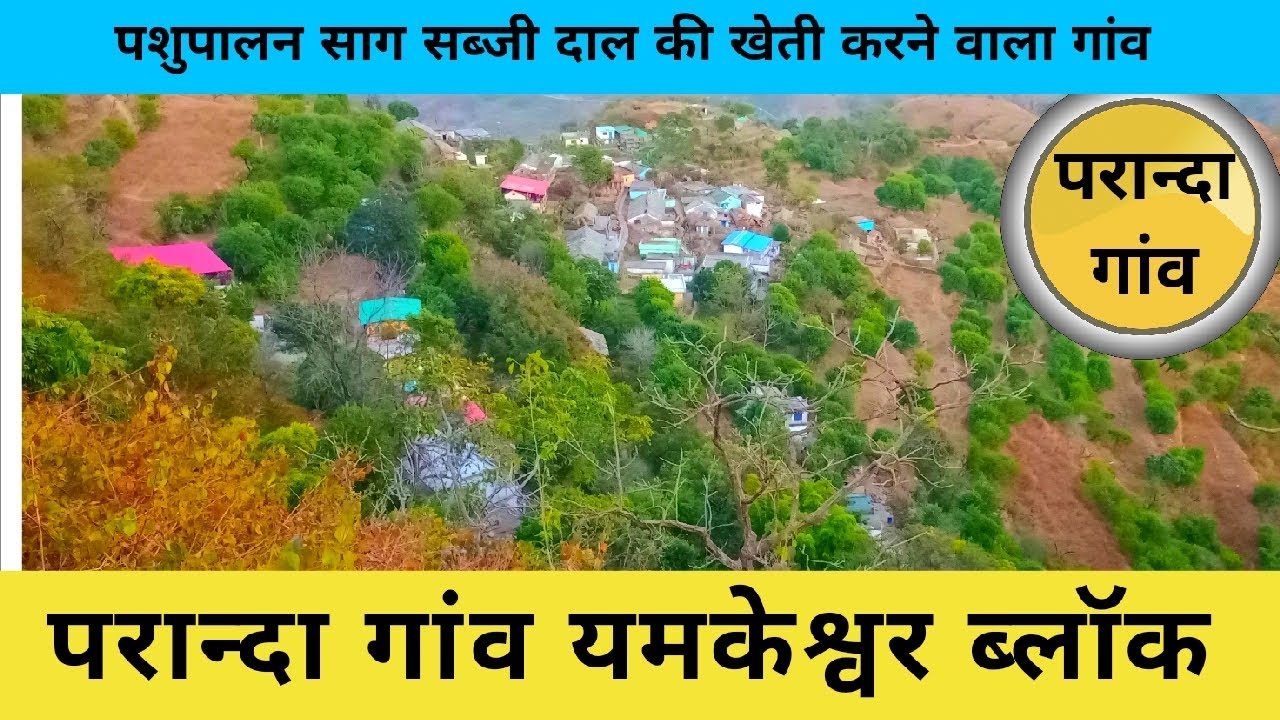 इस गांव को भी बुजुर्गों ने कर रखा आबाद,काफी चहल-पहल यहां,हंसमुख स्वभाव के लोग,बाघ का डर यहां भी ।।