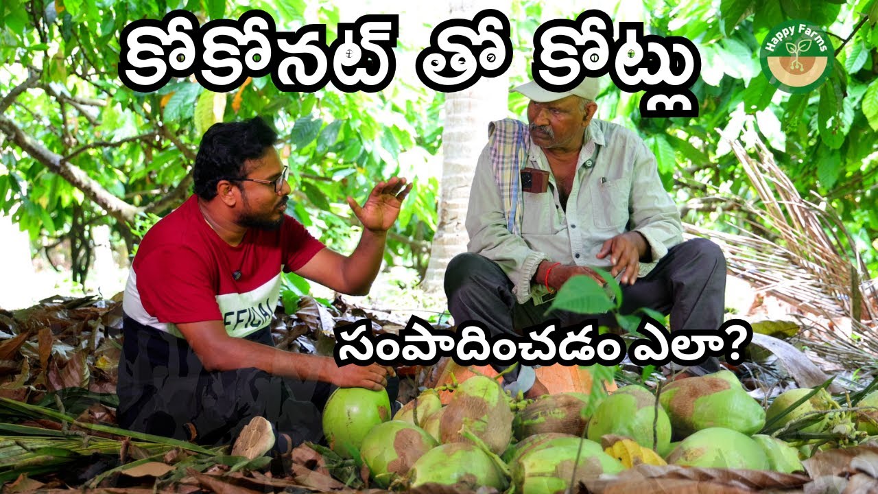 Coconut Business -కోకోనట్ తో కోట్లు...సంపాదించడం ఎలా ?