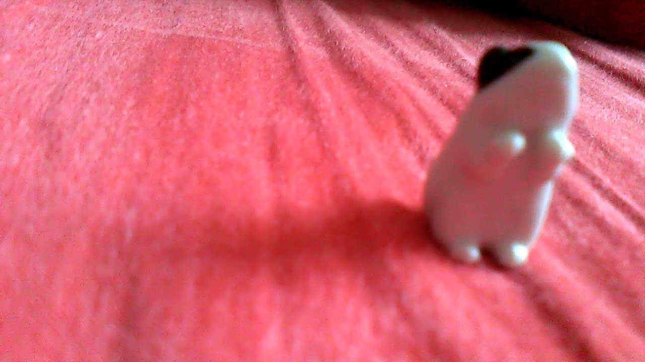 Surprise!!!mon hamster et la