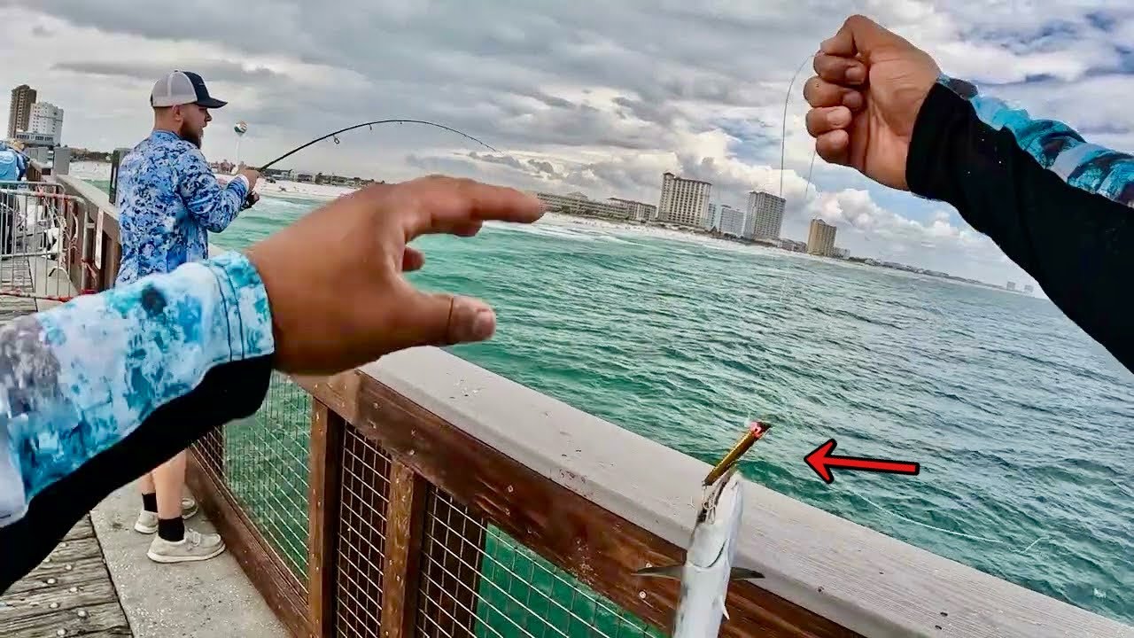 WE ALL CAUGHT FISH USING THIS LURE!