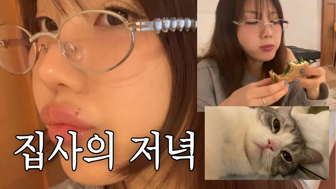 저녁 샌드위치 vs 고양이 비누의 집요한 시선 🥪🐈