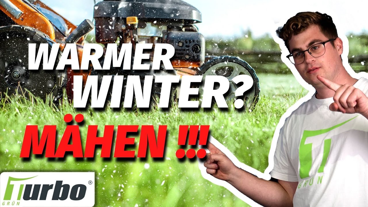 Rasen 🌱 mähen und Rasen aerifizieren im Winter ❄️!? | Akku Rasenmäher | Turbogrün