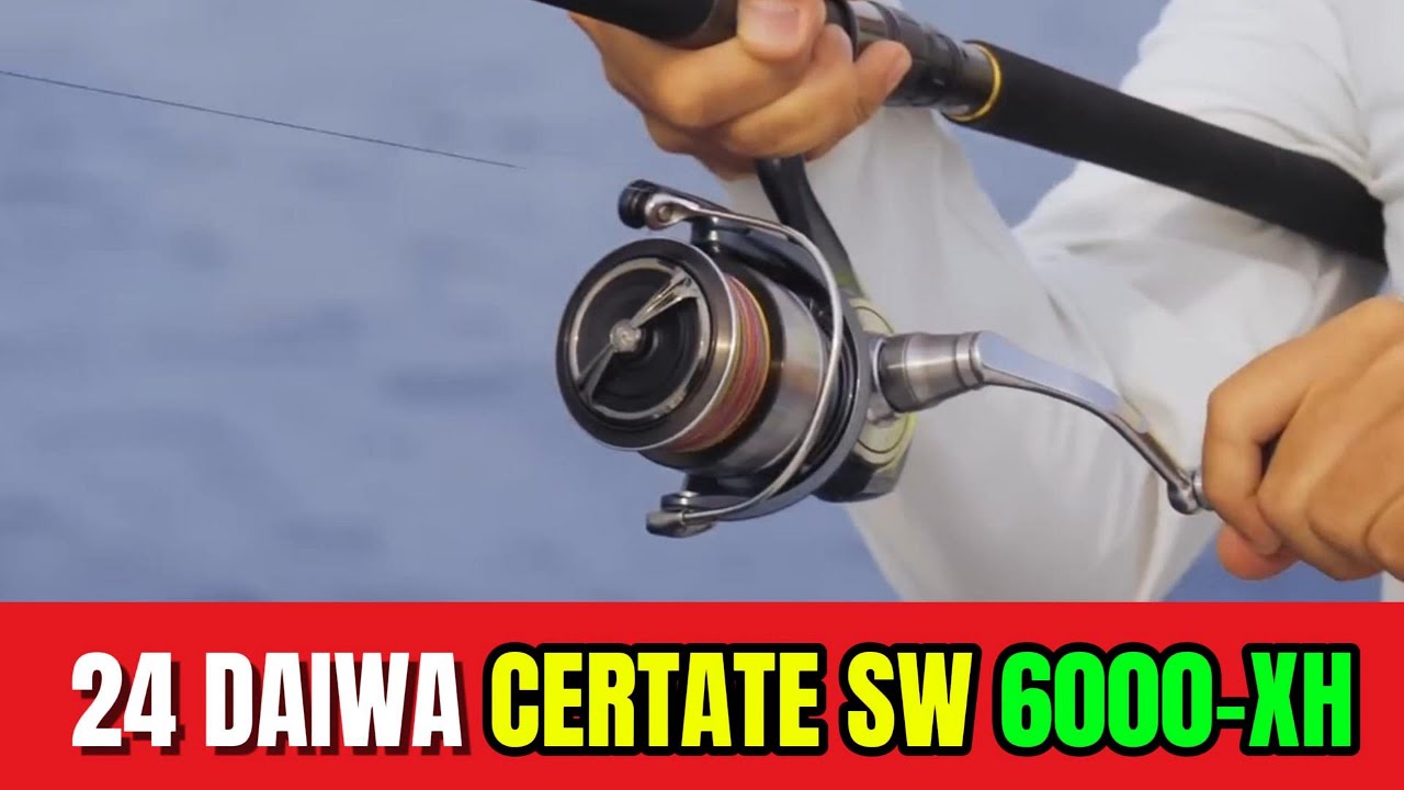 DAIWA CERTATE SW 6000 XH 2024