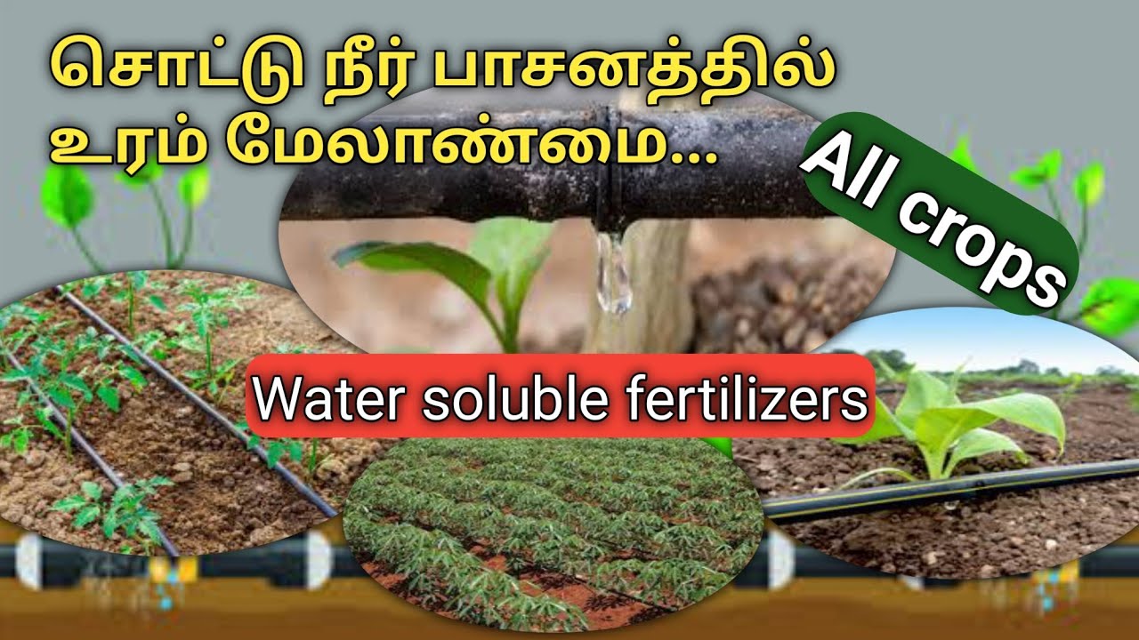 சொட்டு நீரில் பயன்படுத்தும் உரங்கள் | Water soluble fertilizers