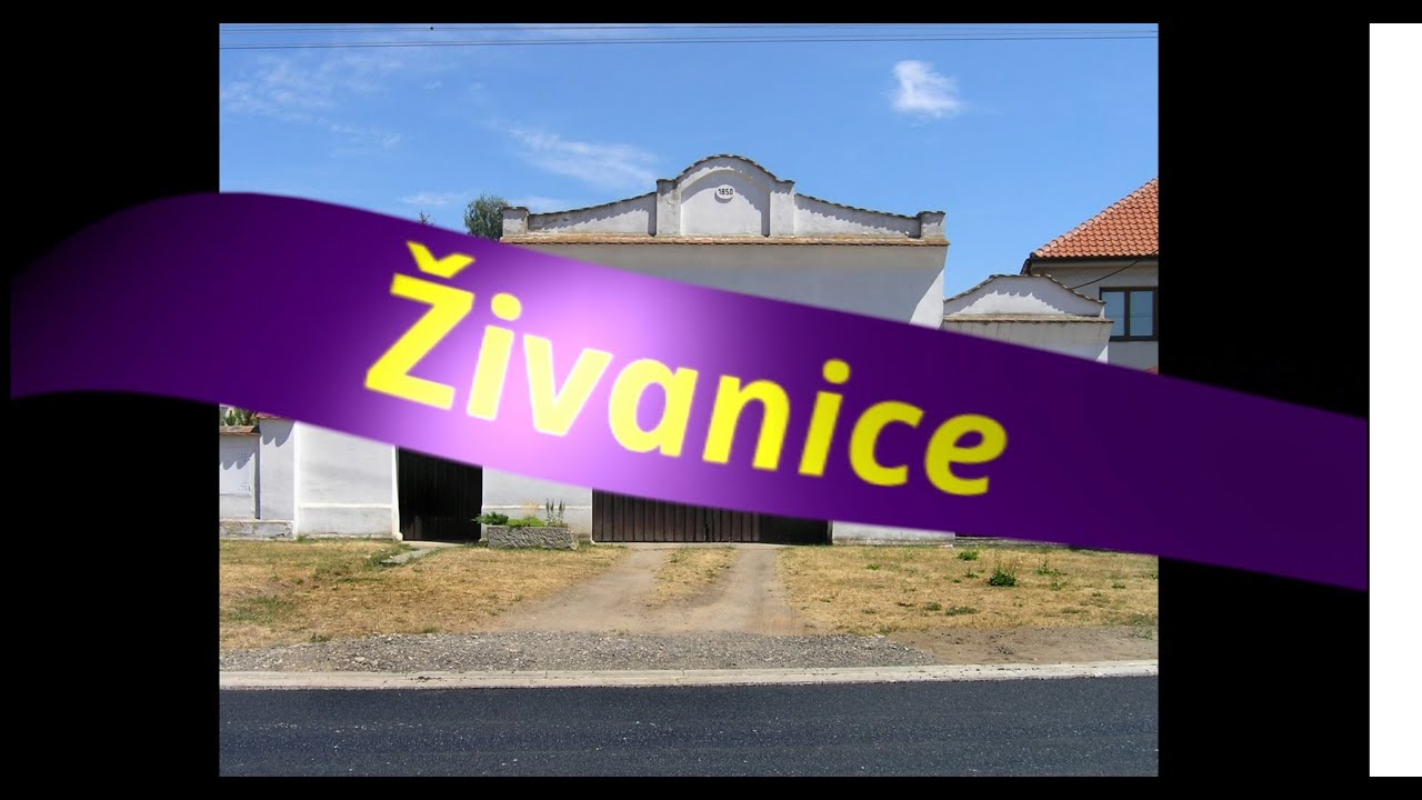 2513 Živanice