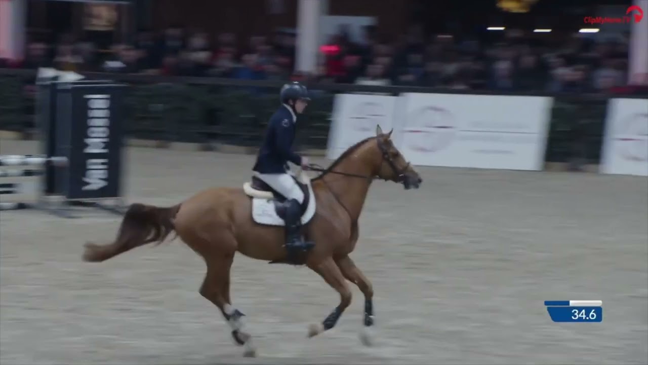 Por Favor ES KCX Stallion Competition Lier