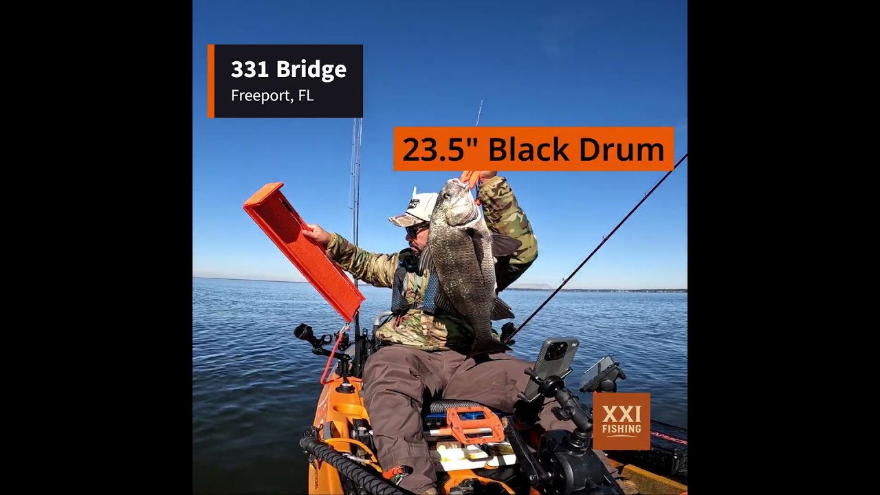 Black Drum on a Cold Day on Live Fiddlers  
