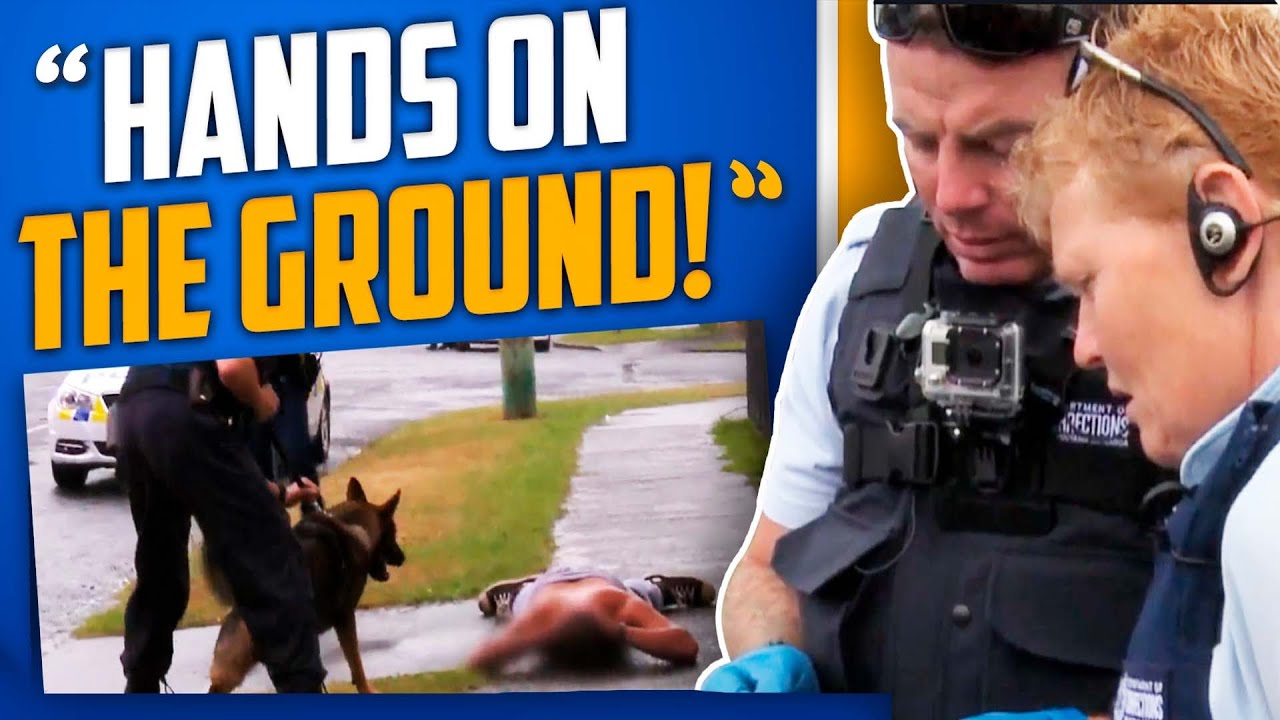 Brave Dog Stops Hammer Wielding Man In His Tracks
